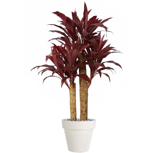 Planta semi-artificiala Ila, Cordyline Exotic Red - 140 cm
